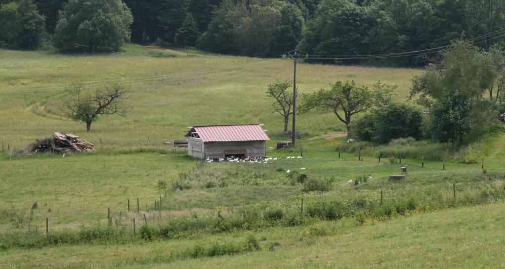 Gîtes du Kreuzweg Le Hohwald Extérieur photo