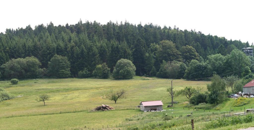 Gîtes du Kreuzweg Le Hohwald Extérieur photo